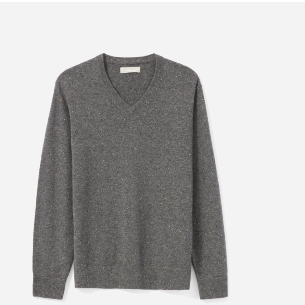everlane cashmere V-Neck men sweater